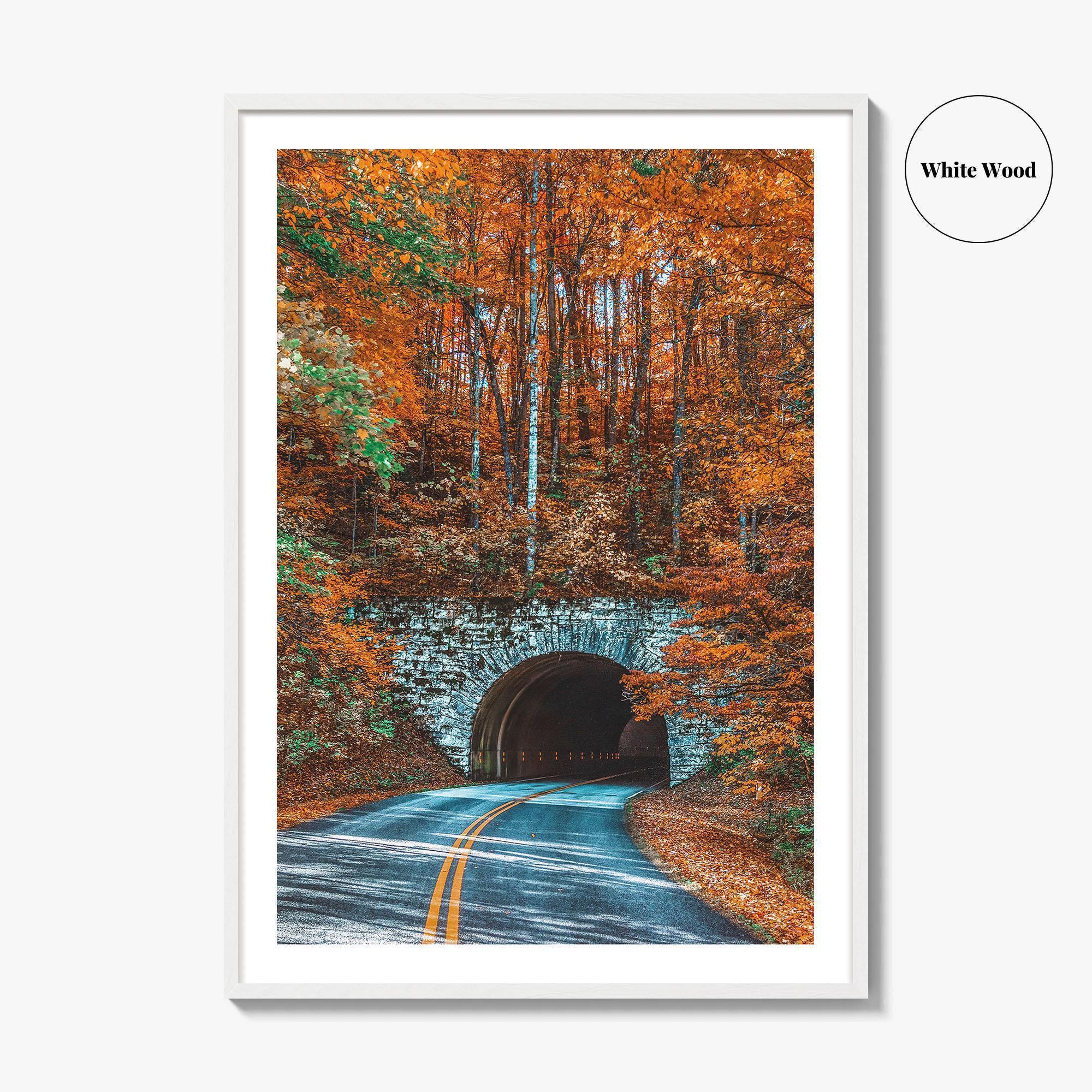 Asheville Fine Art Photo Print, Blue Ridge Parkway Tunnel, North Carolina Wall Poster