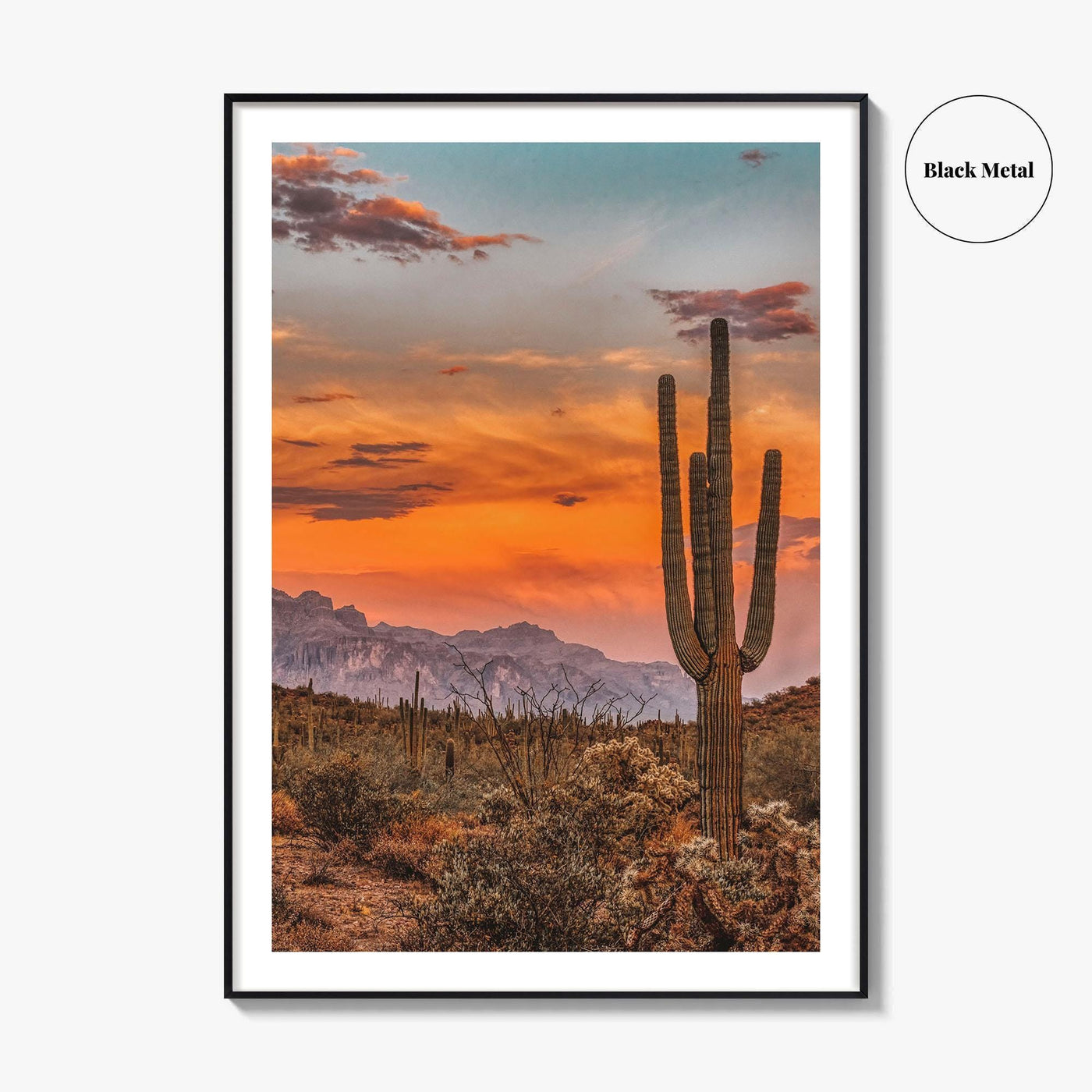 Arizona Fine Art Photo Print, Phoenix Sonoran Desert, USA Wall Decor Poster