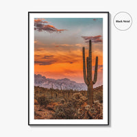 Arizona Fine Art Photo Print, Phoenix Sonoran Desert, USA Wall Decor Poster