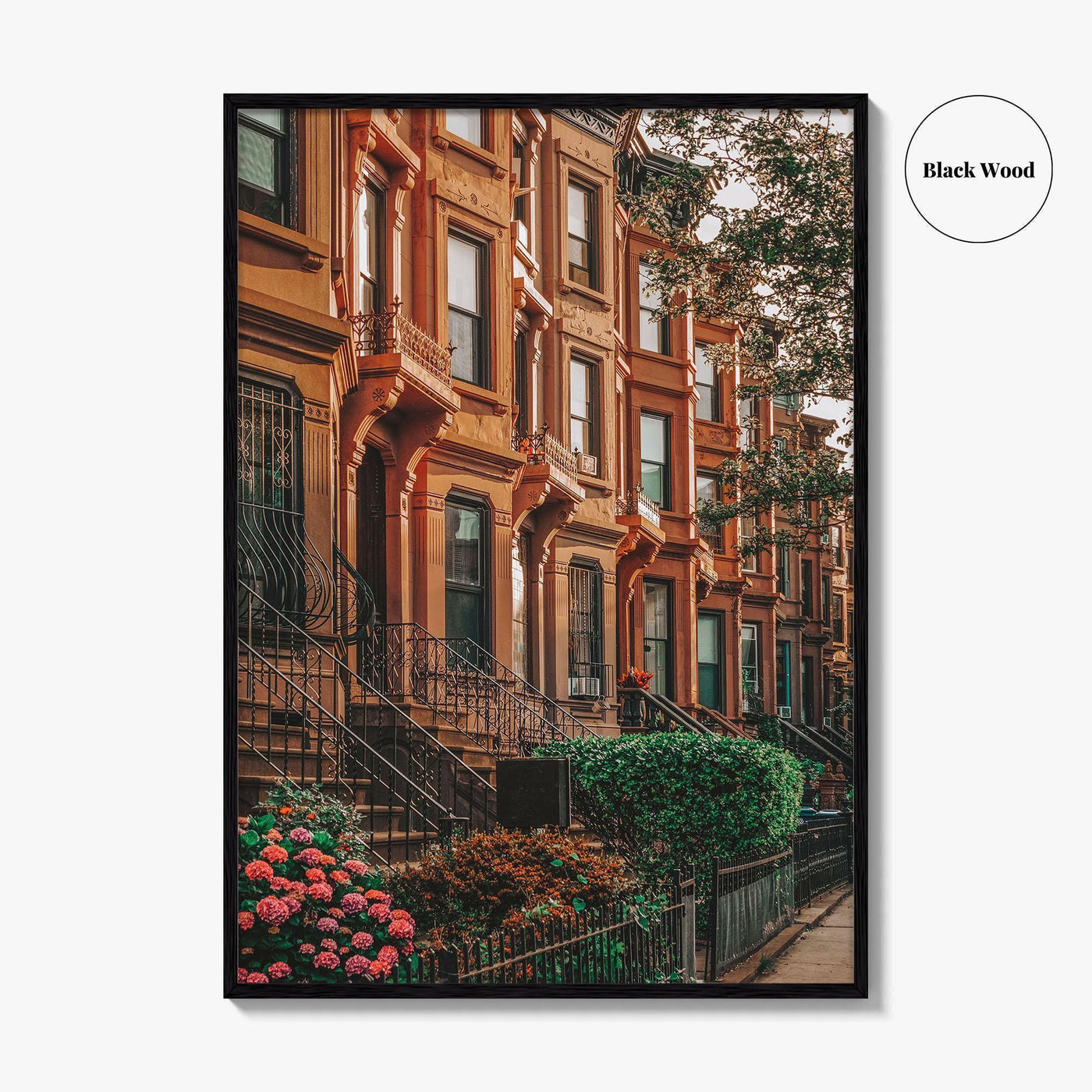 Bedford-Stuyvesant Fine Art Photo Print, Brooklyn Brownstones, NYC Wall Art Poster