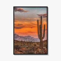 Arizona Fine Art Photo Print, Phoenix Sonoran Desert, USA Wall Decor Poster