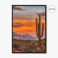 Arizona Fine Art Photo Print, Phoenix Sonoran Desert, USA Wall Decor Poster