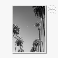 Beverly Hills Black and White Fine Art Photo Print, Los Angeles Palm Trees Poster