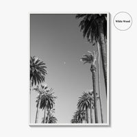 Beverly Hills Black and White Fine Art Photo Print, Los Angeles Palm Trees Poster