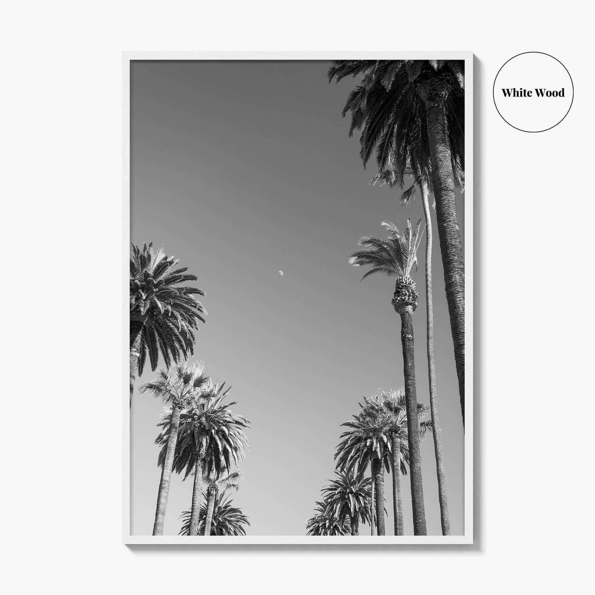 Beverly Hills Black and White Fine Art Photo Print, Los Angeles Palm Trees Poster
