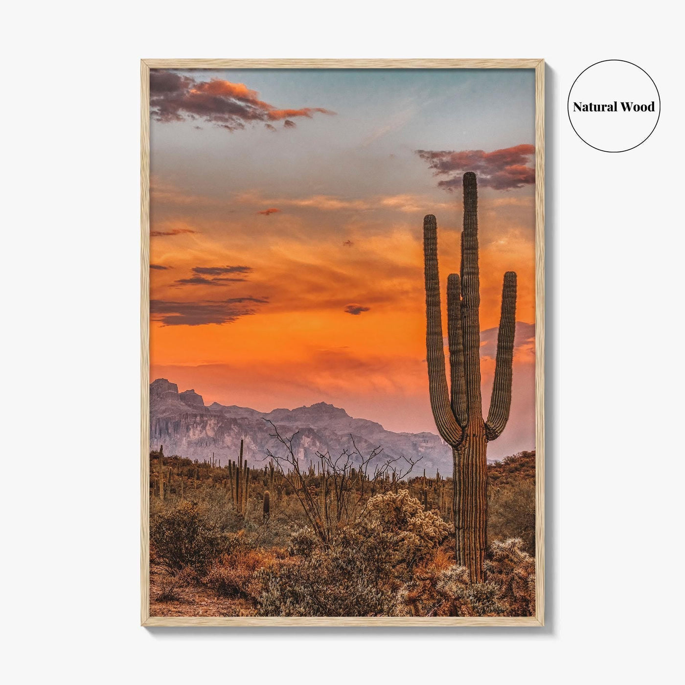 Arizona Fine Art Photo Print, Phoenix Sonoran Desert, USA Wall Decor Poster