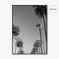 Beverly Hills Black and White Fine Art Photo Print, Los Angeles Palm Trees Poster