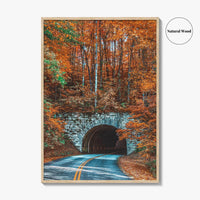 Asheville Fine Art Photo Print, Blue Ridge Parkway Tunnel, North Carolina Wall Poster