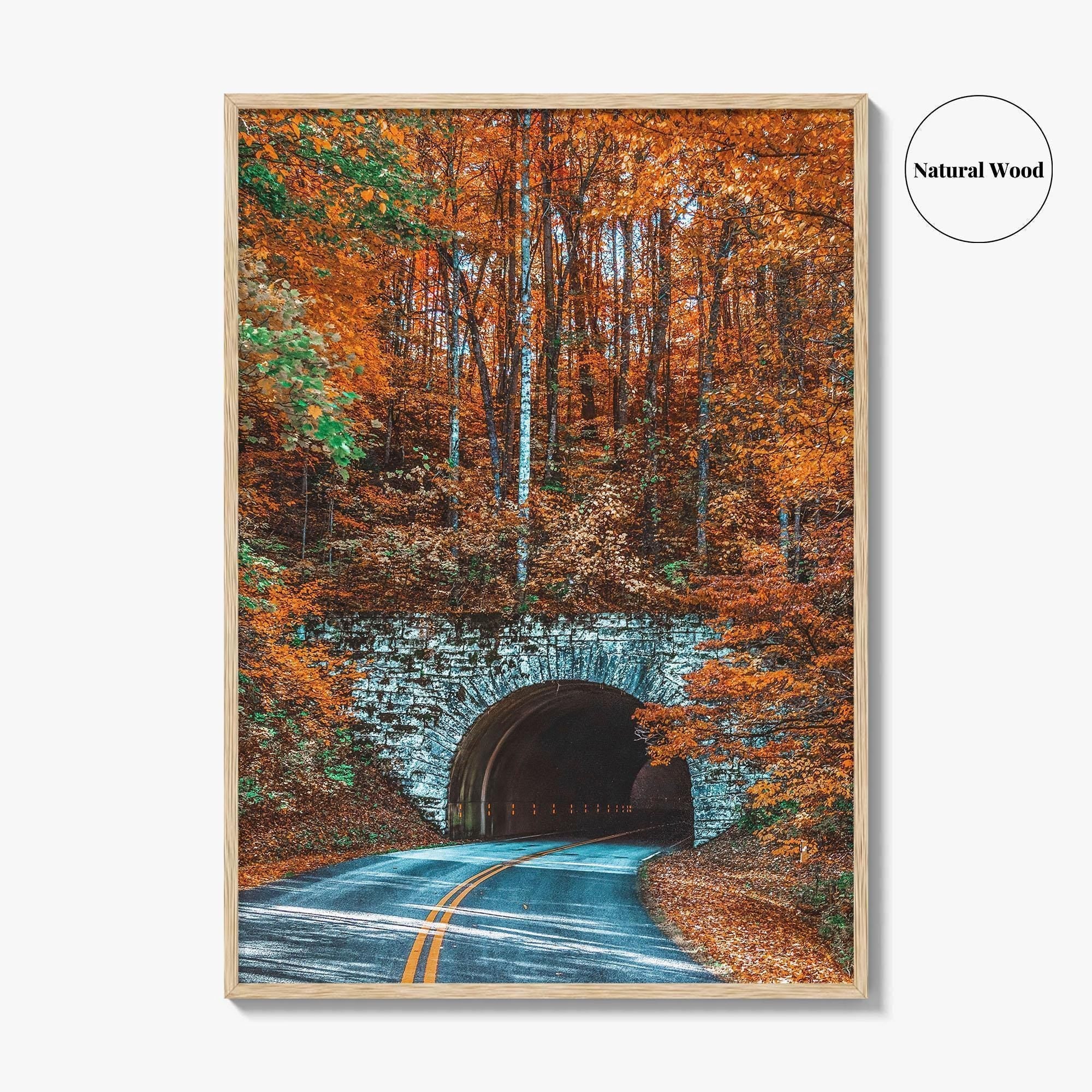 Asheville Fine Art Photo Print, Blue Ridge Parkway Tunnel, North Carolina Wall Poster