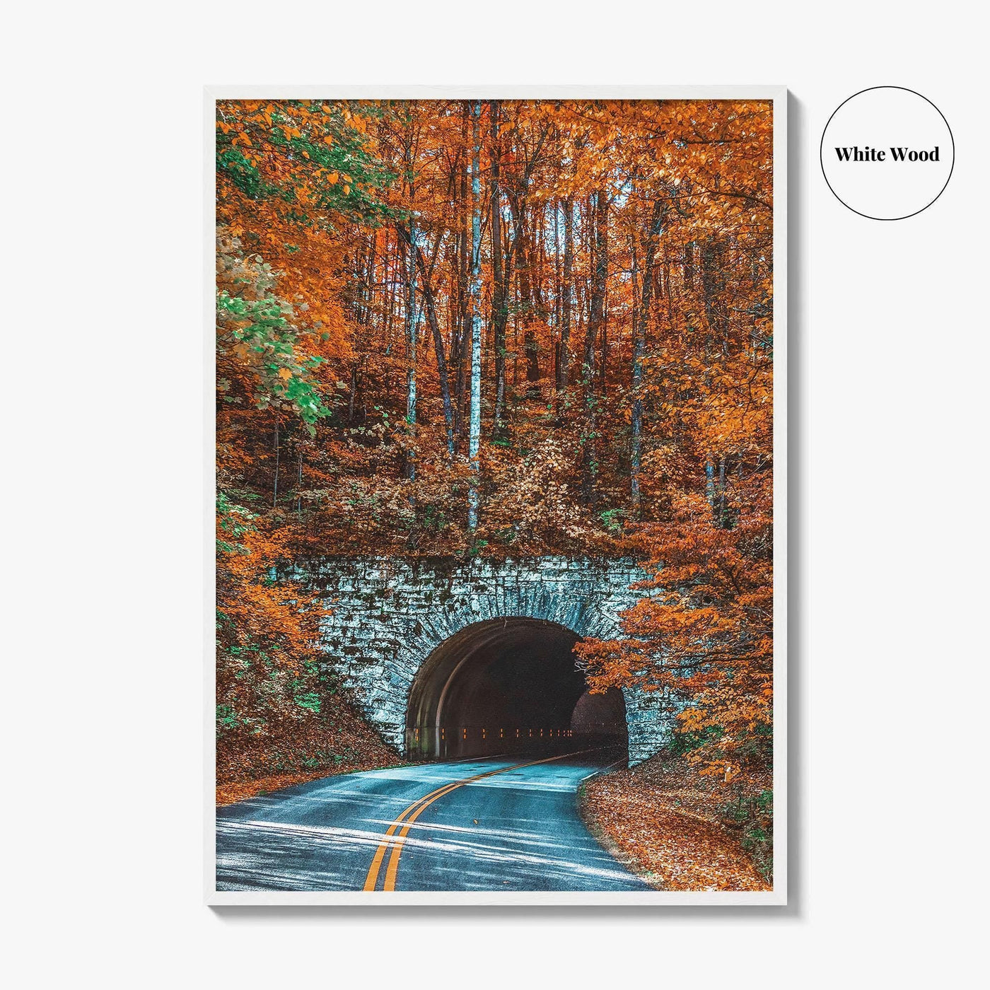 Asheville Fine Art Photo Print, Blue Ridge Parkway Tunnel, North Carolina Wall Poster