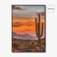 Arizona Fine Art Photo Print, Phoenix Sonoran Desert, USA Wall Decor Poster