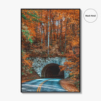 Asheville Fine Art Photo Print, Blue Ridge Parkway Tunnel, North Carolina Wall Poster