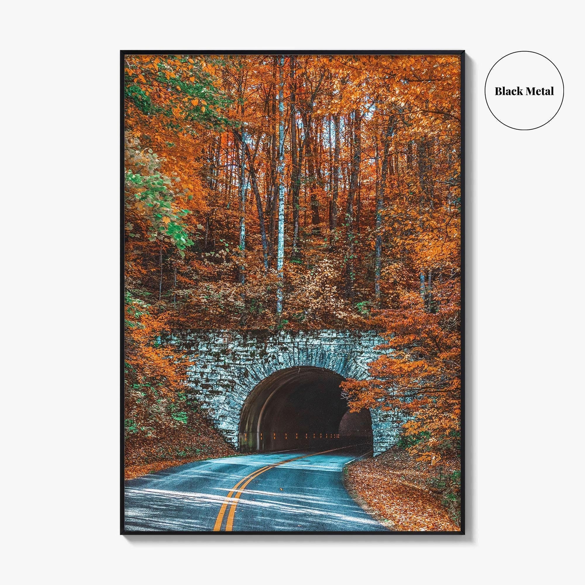 Asheville Fine Art Photo Print, Blue Ridge Parkway Tunnel, North Carolina Wall Poster