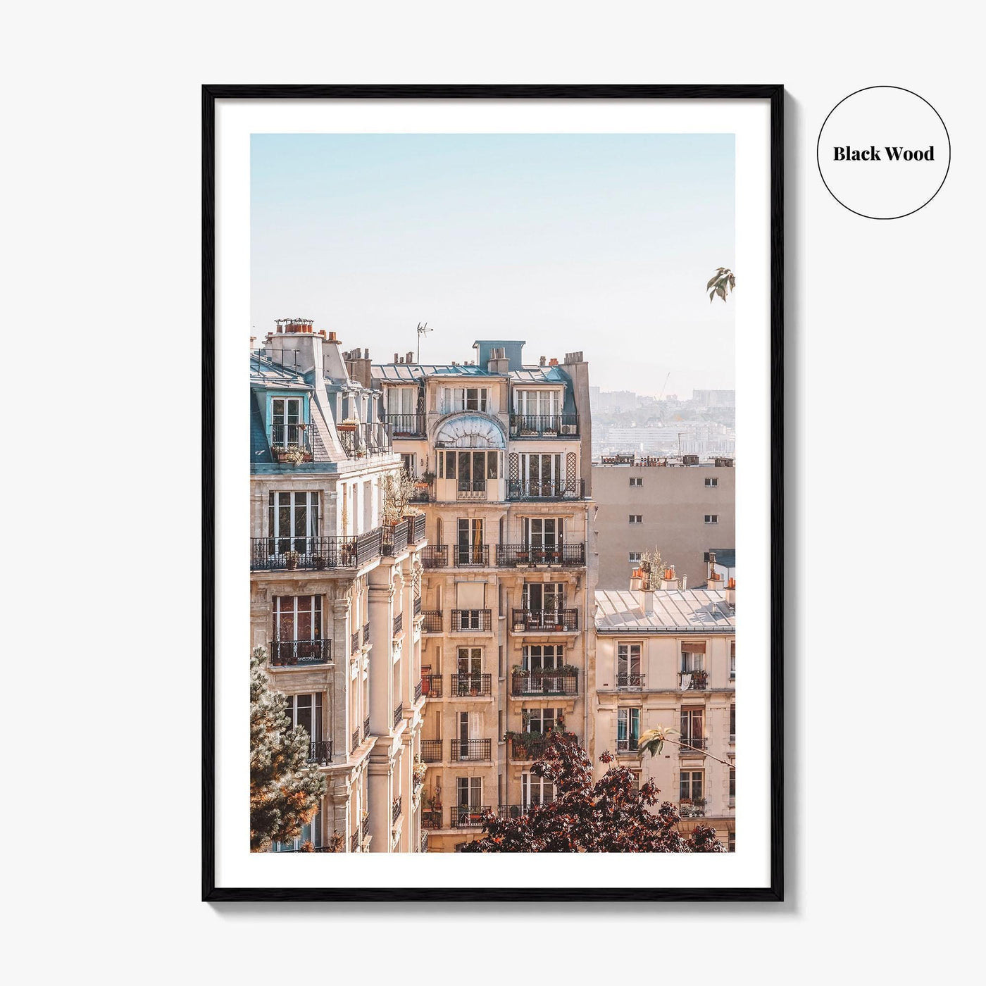 Paris Fine Art Photo Print, France Wall Decor Poster, Montmartre Sacre Coeur