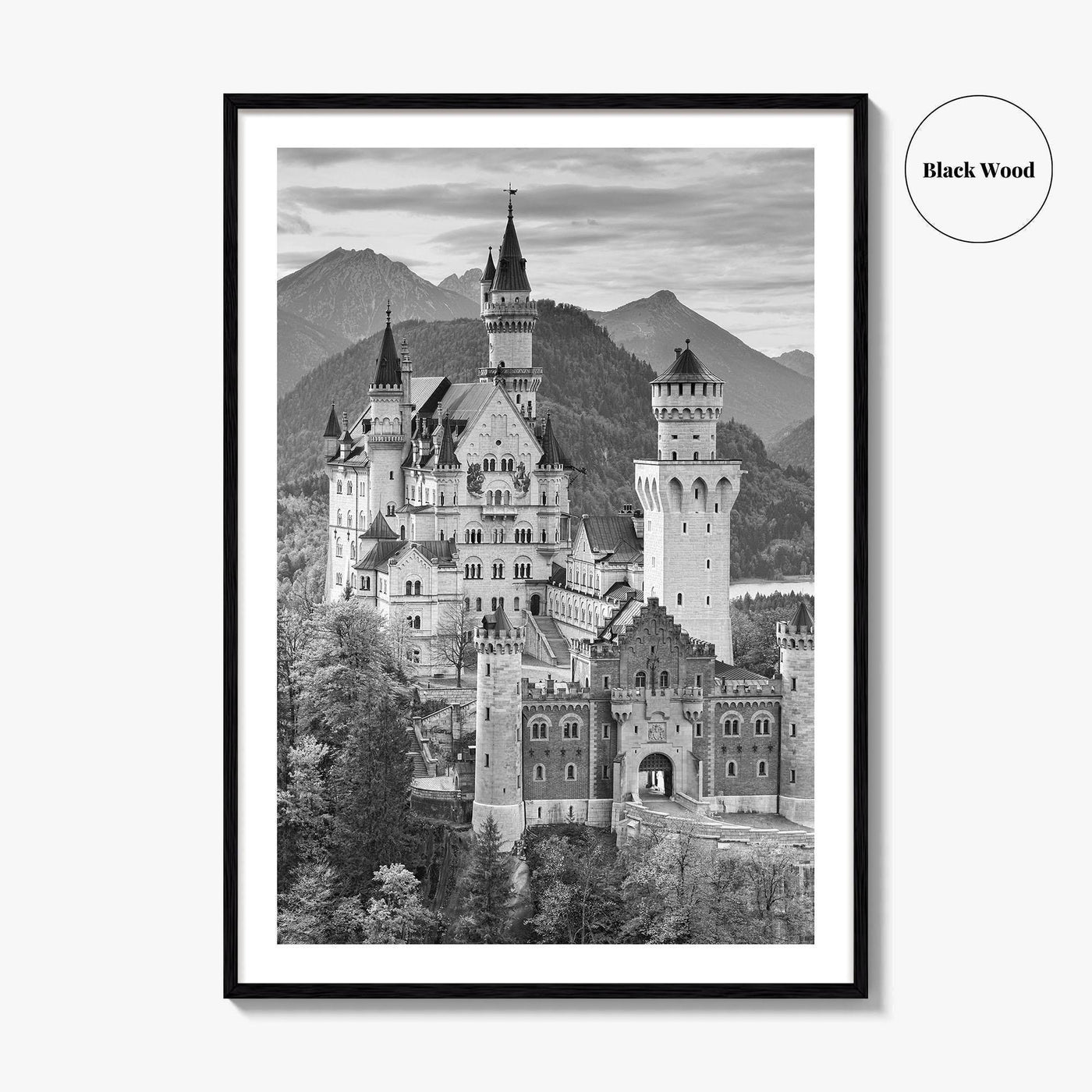 Neuschwanstein Castle Black and White Fine Art Photo Print, Bavaria Germany Poster