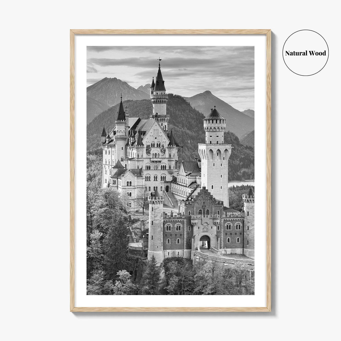 Neuschwanstein Castle Black and White Fine Art Photo Print, Bavaria Germany Poster