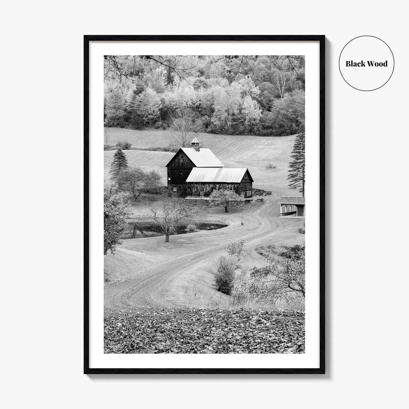 New England Black and White Fine Art Photo Print, Vermont Autumn Landscape Poster