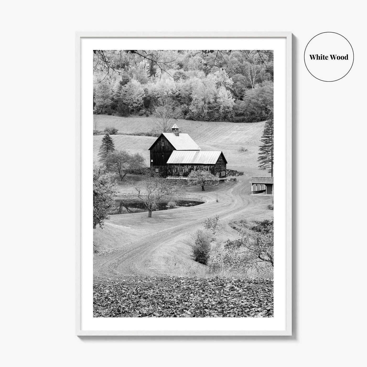 New England Black and White Fine Art Photo Print, Vermont Autumn Landscape Poster