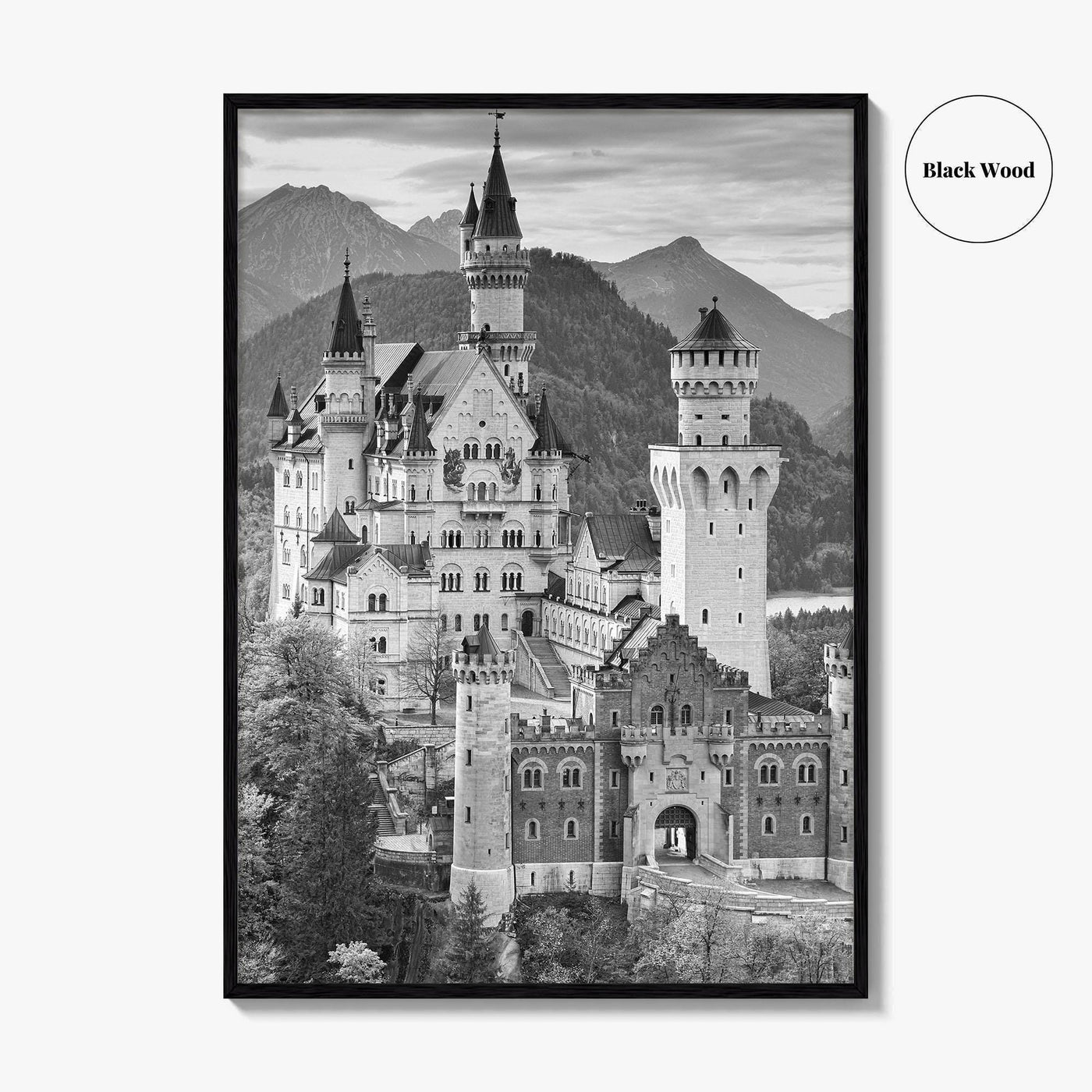 Neuschwanstein Castle Black and White Fine Art Photo Print, Bavaria Germany Poster