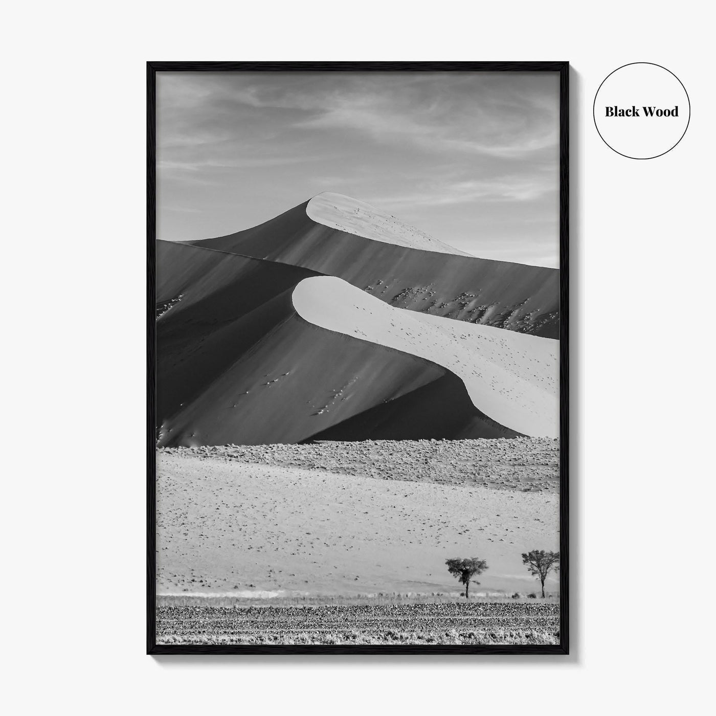 Namibia Black and White Fine Art Photo Print, Namib Desert Dune, Namib-Naukluft Poster
