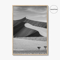 Namibia Black and White Fine Art Photo Print, Namib Desert Dune, Namib-Naukluft Poster