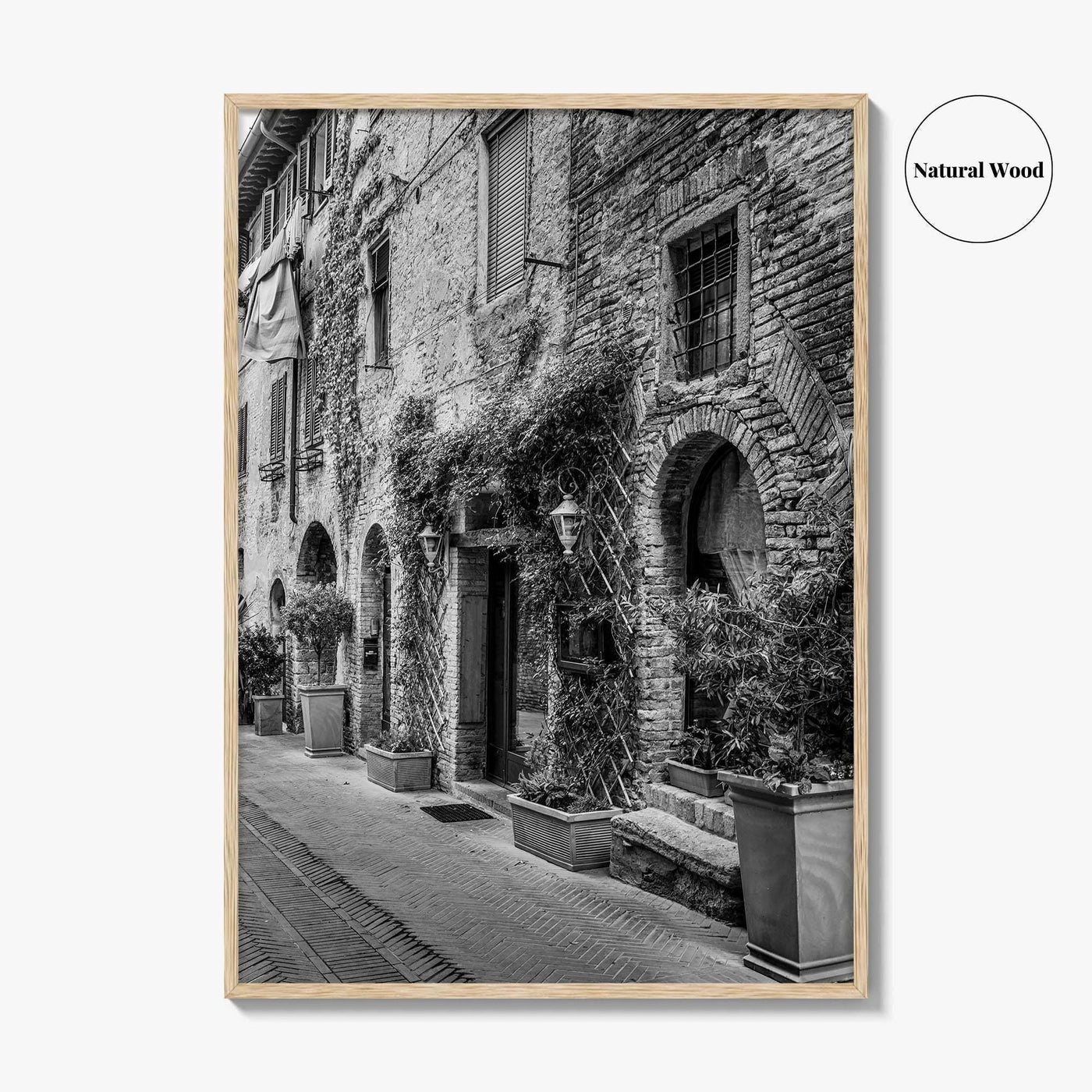 San Gimignano Black and White Fine Art Photo Print, Tuscany Italy Wall Poster