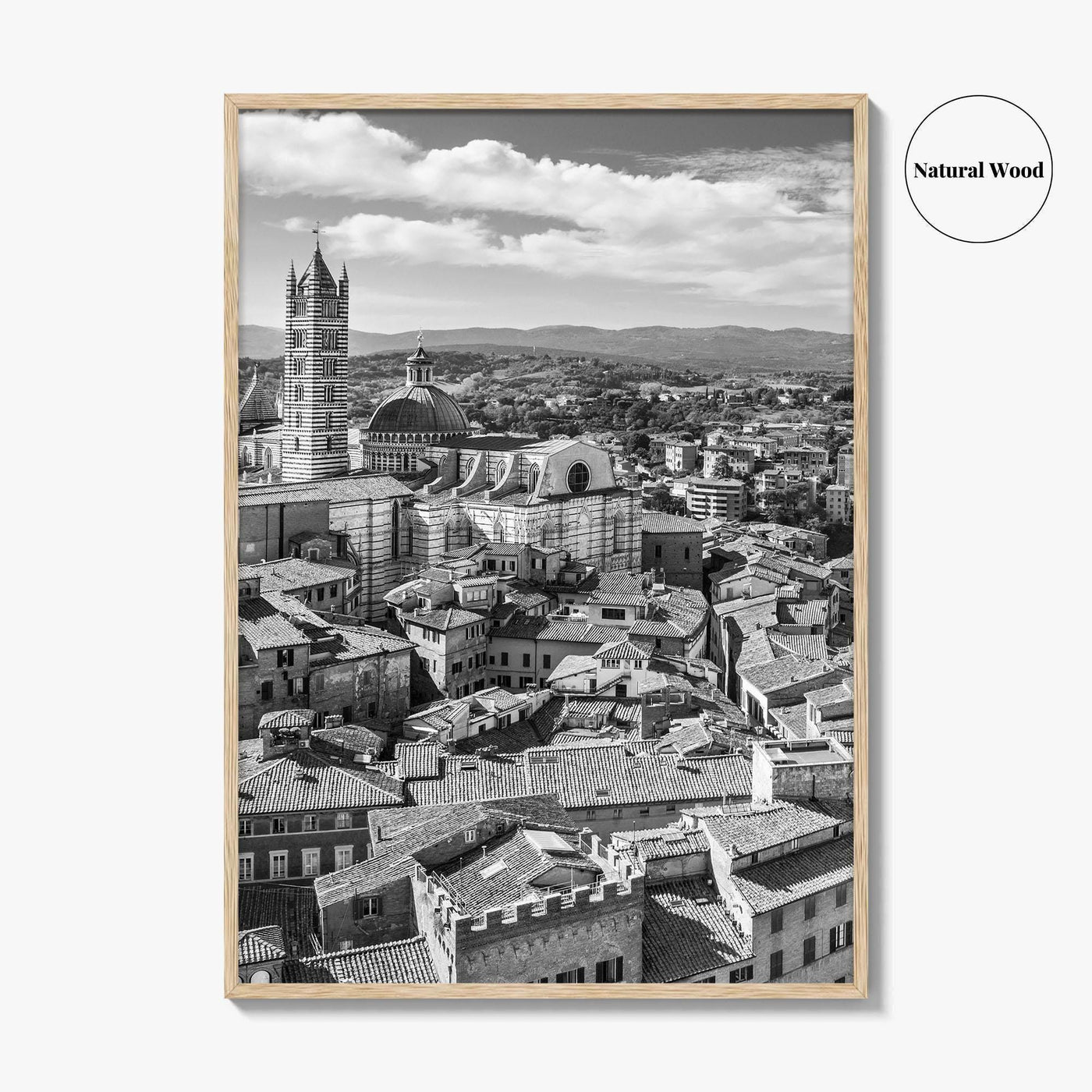 Siena Black and White Fine Art Photo Print, Tuscany Italy Duomo, Mangia Tower Poster