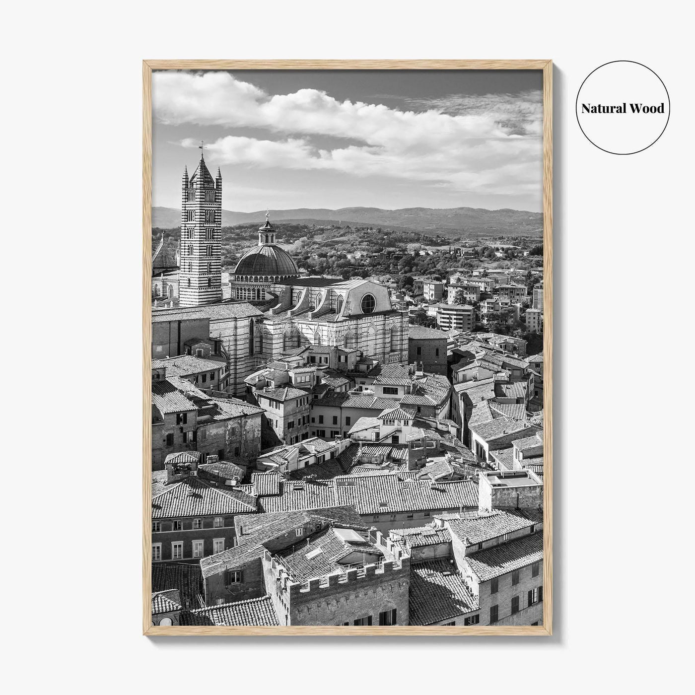 Siena Black and White Fine Art Photo Print, Tuscany Italy Duomo, Mangia Tower Poster