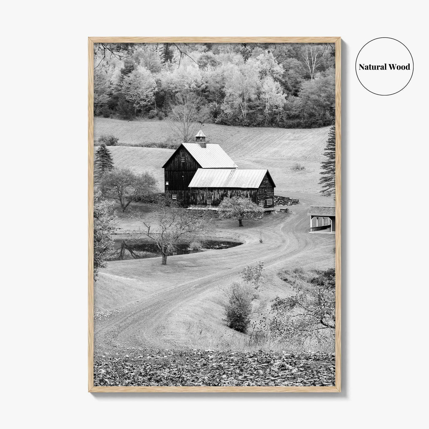 New England Black and White Fine Art Photo Print, Vermont Autumn Landscape Poster