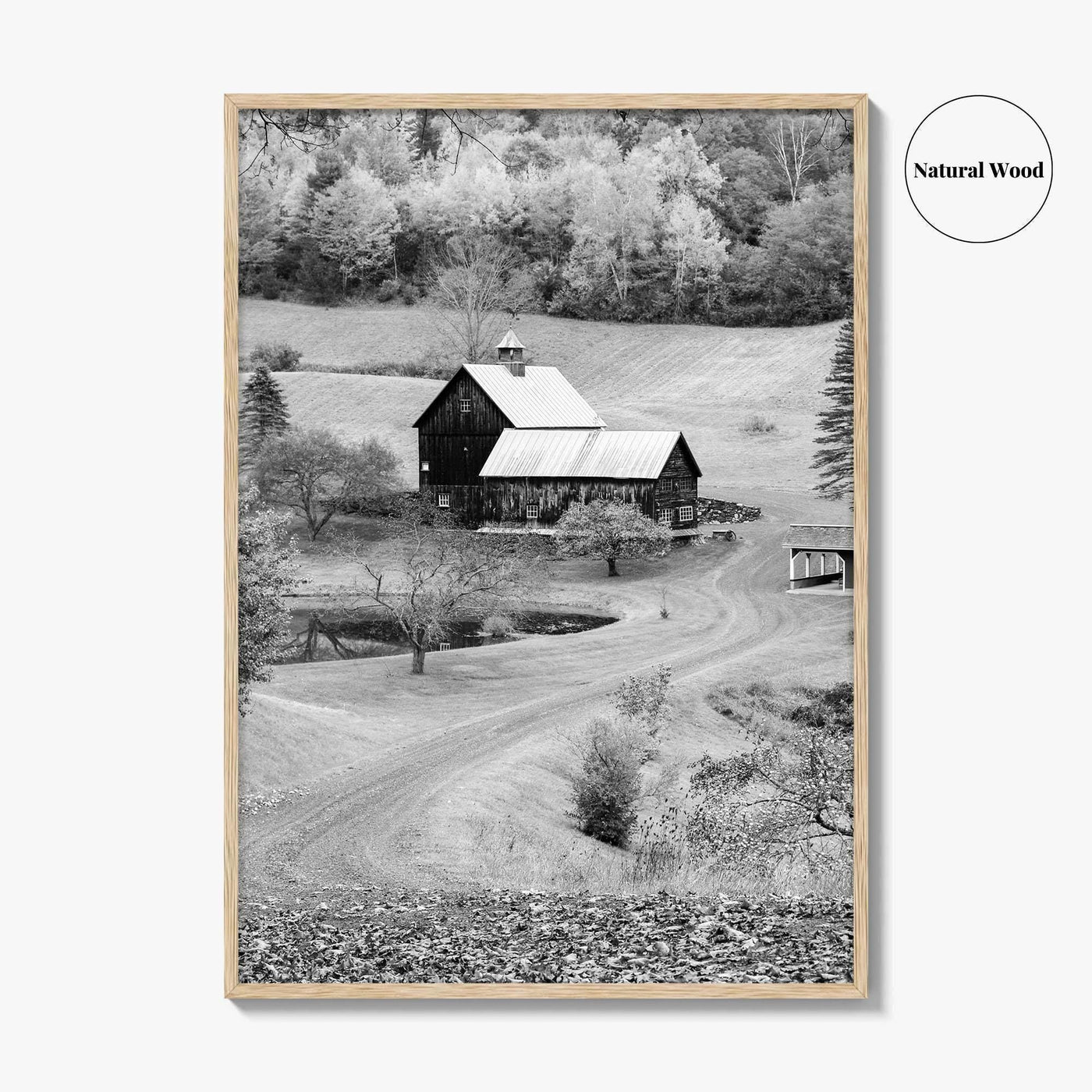 New England Black and White Fine Art Photo Print, Vermont Autumn Landscape Poster