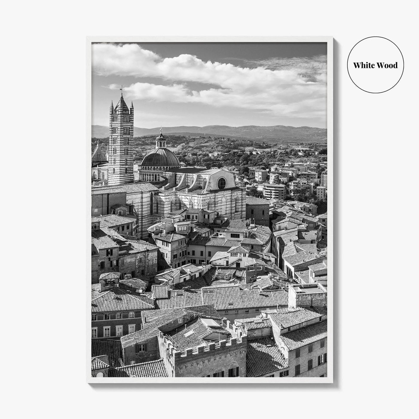 Siena Black and White Fine Art Photo Print, Tuscany Italy Duomo, Mangia Tower Poster