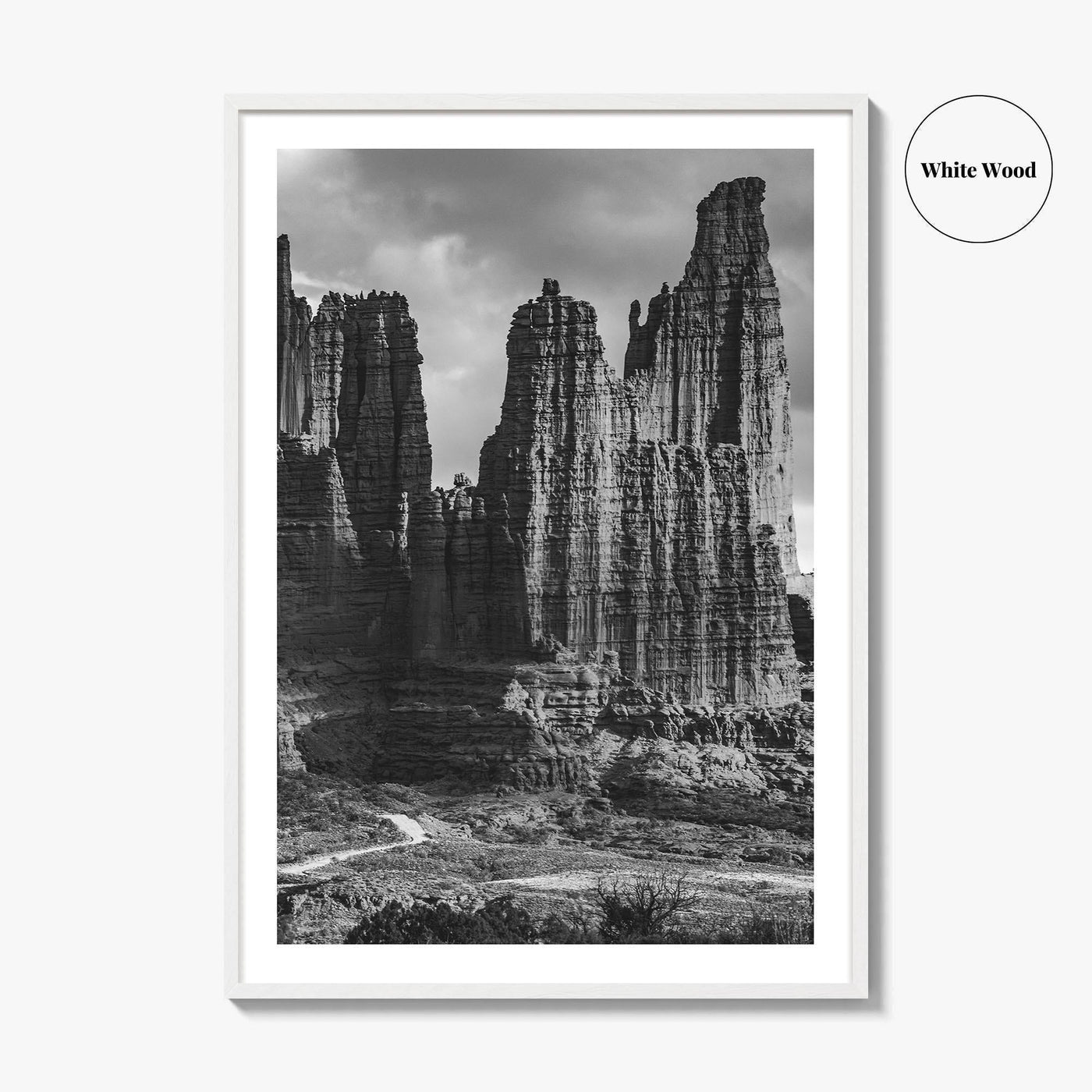 Moab Black and White Fine Art Photo Print, Fisher Towers Utah Colorado River Poster