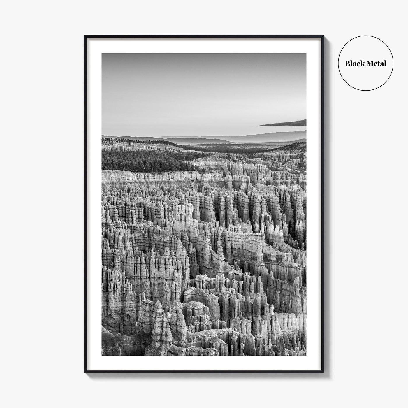 Bryce Canyon National Park Black and White Fine Art Photo Print, Utah USA Poster