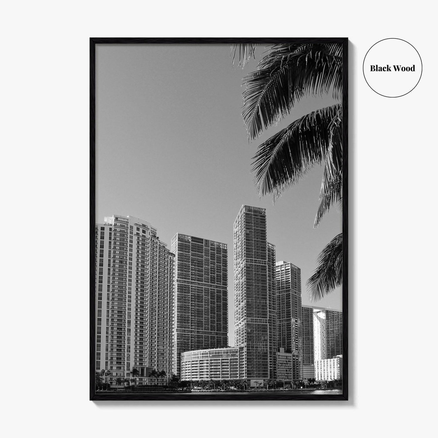Miami Black and White Fine Art Photo Print, South Beach, Florida Wall Poster, USA