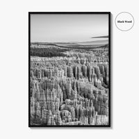 Bryce Canyon National Park Black and White Fine Art Photo Print, Utah USA Poster