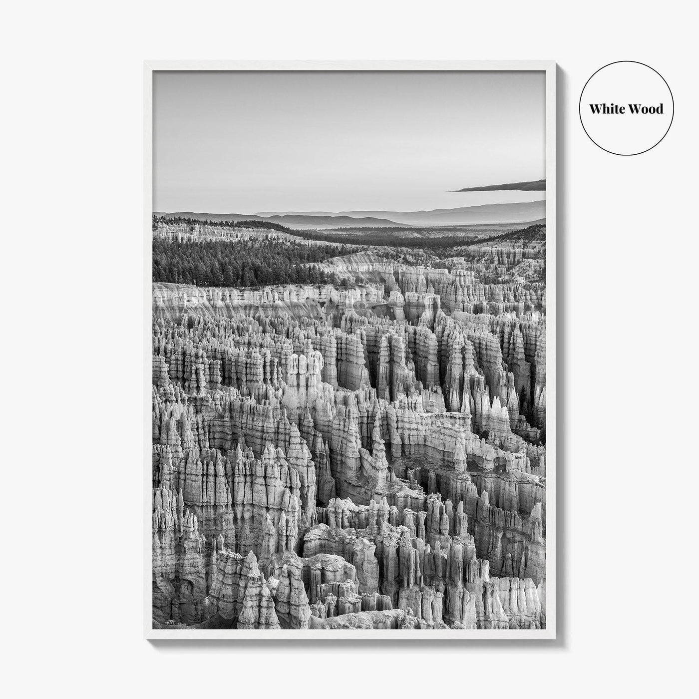 Bryce Canyon National Park Black and White Fine Art Photo Print, Utah USA Poster
