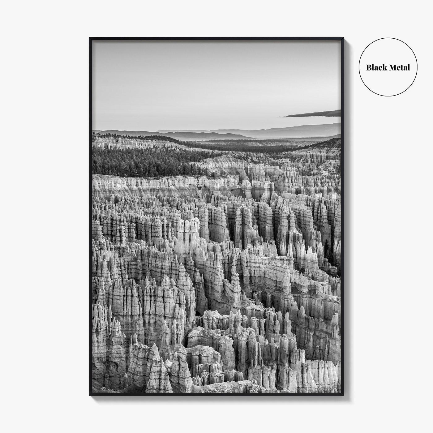 Bryce Canyon National Park Black and White Fine Art Photo Print, Utah USA Poster