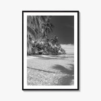 The Bahamas Black and White Fine Art Photo Print, Palm Trees, Caribbean, Nassau Poster