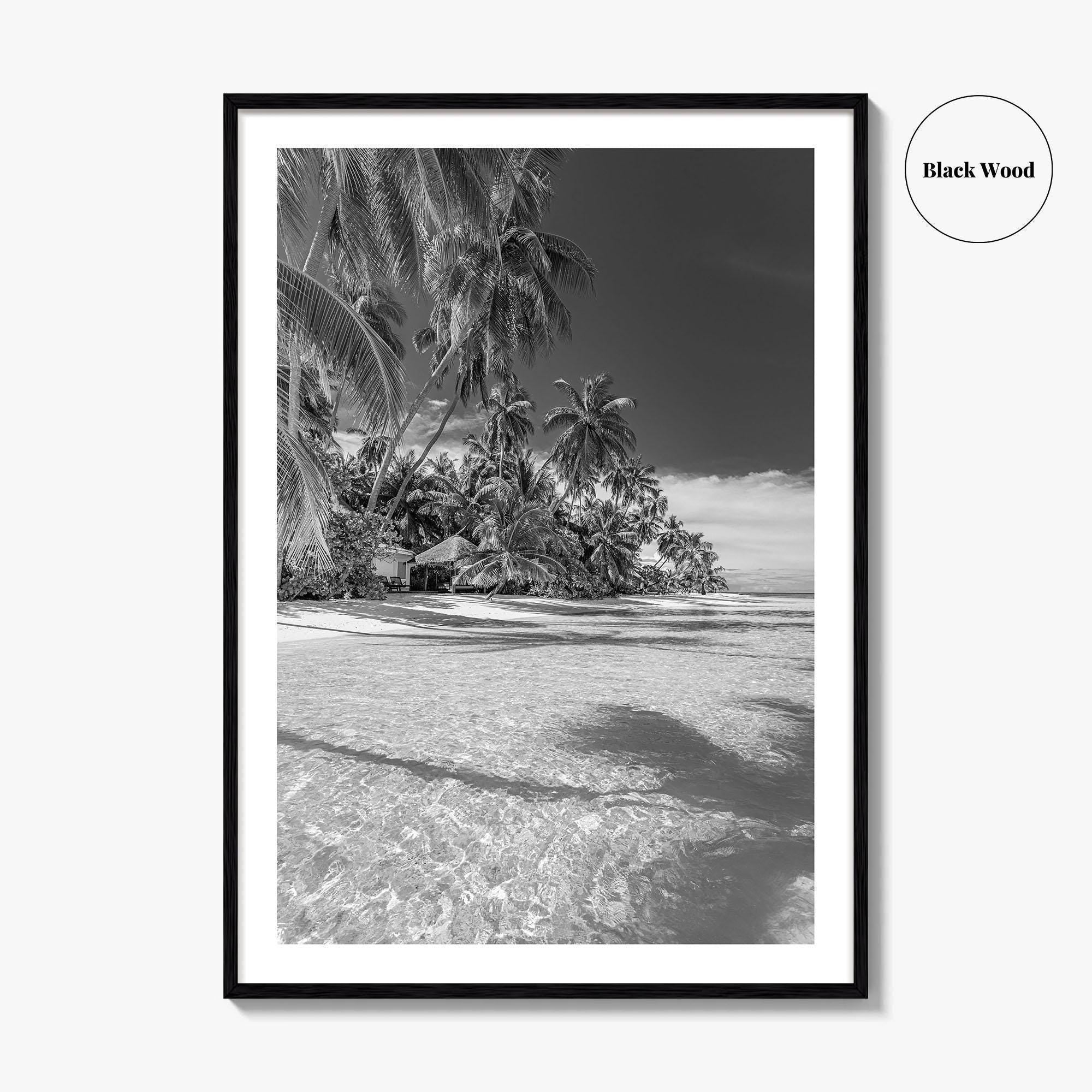 The Bahamas Black and White Fine Art Photo Print, Palm Trees, Caribbean, Nassau Poster