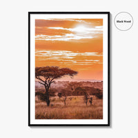 Serengeti Fine Art Photo Print, Tanzania Wall Poster, African Savanna, Acacia Trees