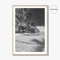 The Bahamas Black and White Fine Art Photo Print, Palm Trees, Caribbean, Nassau Poster