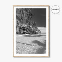 The Bahamas Black and White Fine Art Photo Print, Palm Trees, Caribbean, Nassau Poster