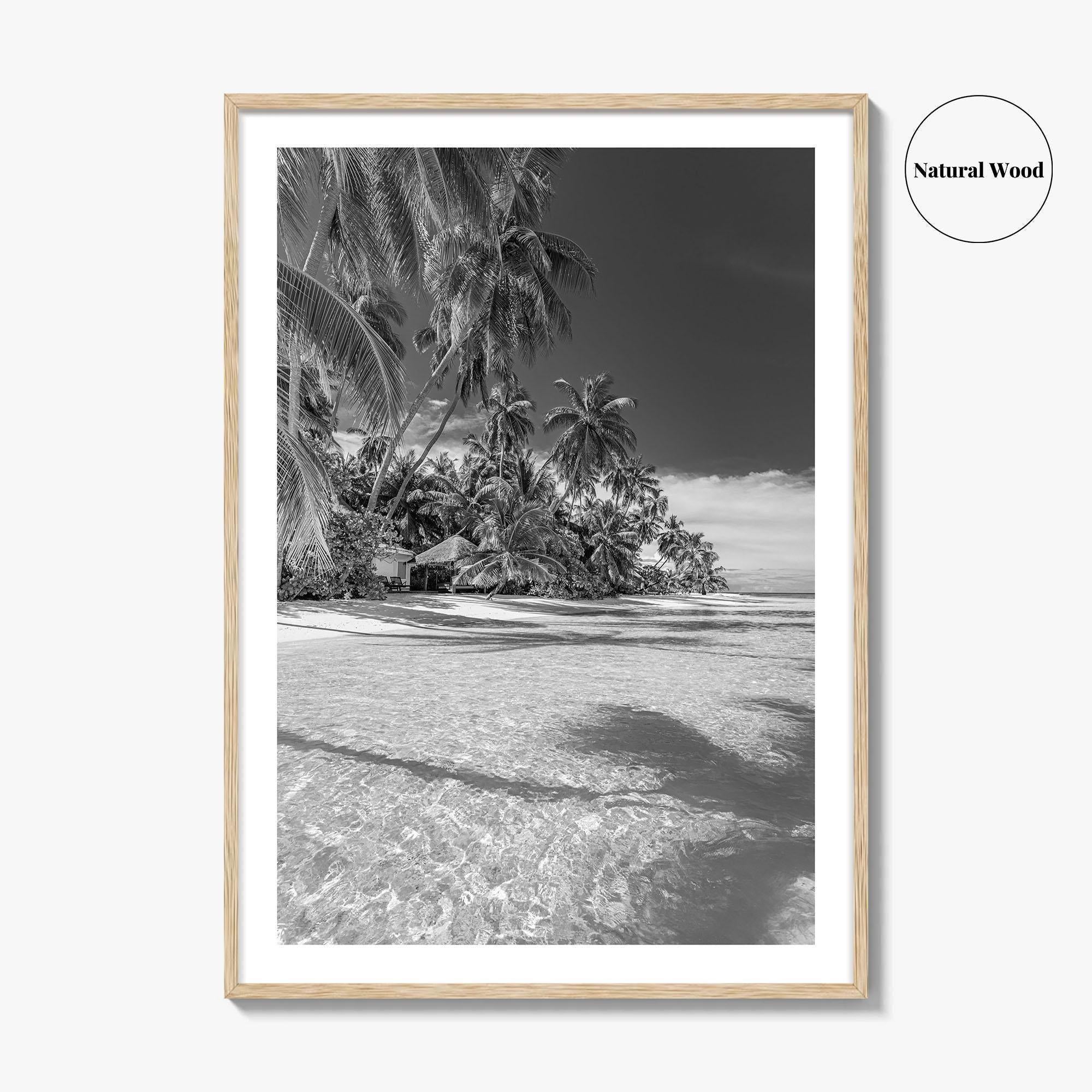 The Bahamas Black and White Fine Art Photo Print, Palm Trees, Caribbean, Nassau Poster