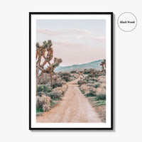 Joshua Tree National Park Fine Art Photo Print, Pioneertown Mountains Preserve, Mojave Desert Poster