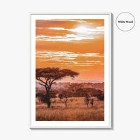 Serengeti Fine Art Photo Print, Tanzania Wall Poster, African Savanna, Acacia Trees