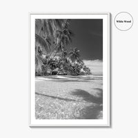 The Bahamas Black and White Fine Art Photo Print, Palm Trees, Caribbean, Nassau Poster