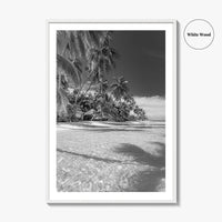 The Bahamas Black and White Fine Art Photo Print, Palm Trees, Caribbean, Nassau Poster