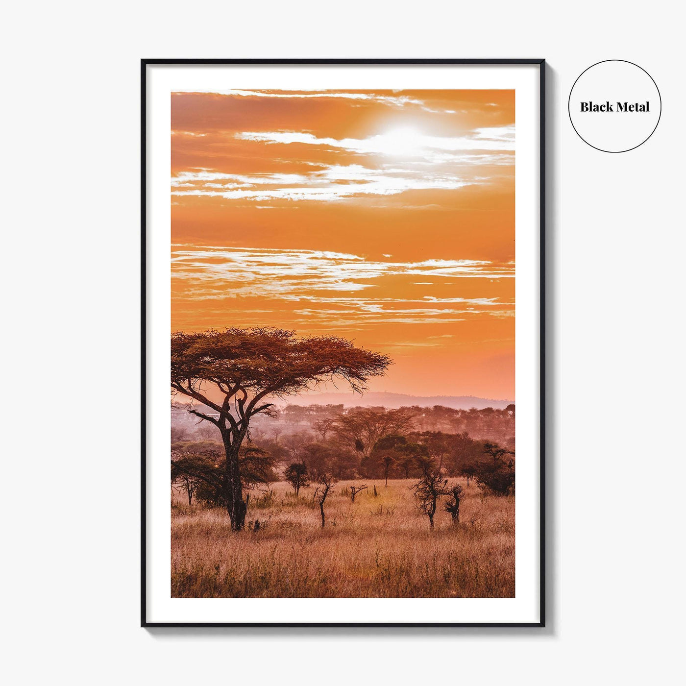 Serengeti Fine Art Photo Print, Tanzania Wall Poster, African Savanna, Acacia Trees