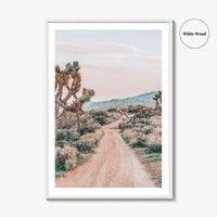 Joshua Tree National Park Fine Art Photo Print, Pioneertown Mountains Preserve, Mojave Desert Poster