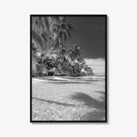 The Bahamas Black and White Fine Art Photo Print, Palm Trees, Caribbean, Nassau Poster